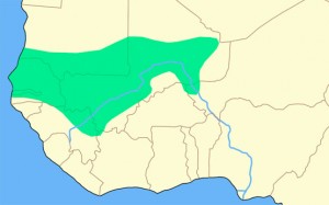 Carte de l'empire du Mali à son apogée