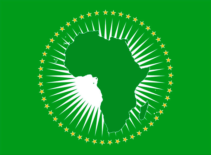 L’Union Africaine est née de la volonté de relancer le processus d’intégration politique, qui apparaît indispensable aux yeux des dirigeants africains pour la croissance économique du continent. L’impulsion aurait été donnée par le président libyen Mouammar Kadhafi en 1998.