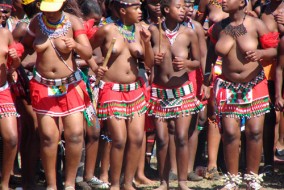 L'umhlanga (=roseau) fait partie des coutumes du Swaziland. Dans le passé, on faisait cette danse pour honorer la reine mère. Les jeunes filles coupaient des roseaux et les lui donnaient pour rebâtir la résidence royale. Mais dernièrement, elle est une occasion pour le roi de se choisir une nouvelle femme parmi les jeunes filles.