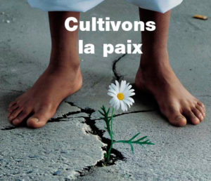 La Journée internationale de la paix, observée chaque année le 21 septembre, est un appel international au cessez-le-feu et à la non-violence. La paix entre les nations est la mission fondatrice des Nations unies.