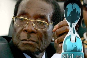 Quand Robert Mugabe arrive au pouvoir le 31 décembre 1987, 70% des terres arables appartenaient à 4000 fermiers blancs. Le 6 avril 2000, il impose sa réforme agraire malgré la défaveur du peuple. La plupart des fermiers blancs sont expropriés et une dizaine sont assassinés. Depuis lors, la plupart fuient à l'étranger.