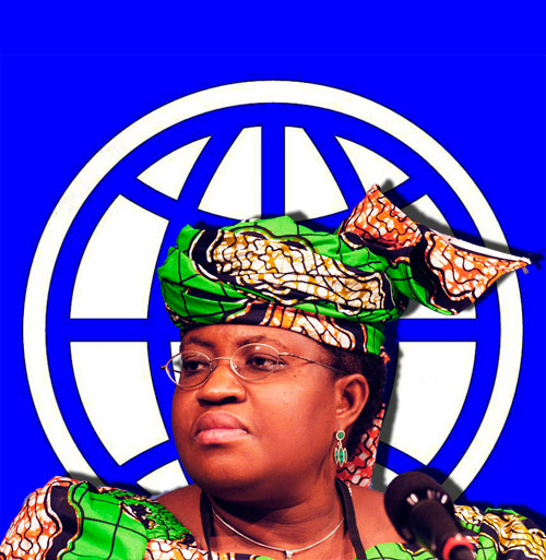Mme Okonjo-Iweala a fait ses études à l'Université Harvard, où il obtient la mention magna cum laude (avec grande distinction) en 1977. Elle a obtenu son doctorat en développement économique régional de la Massachusetts Institute of Technology (MIT) en 1981.