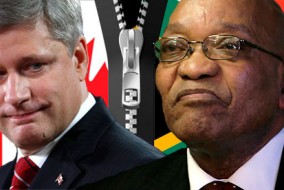 En 2011, 2.000 Canadiens vivaient en Afrique du Sud et 12.000 Sud-Africains vivaient au Canada.