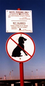 Apartheid et ségrégation raciale : panneau interdisant l'accès d'une plage aux personnes de couleur et aux chiens.