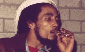 Plus de 33 ans après sa mort d'un cancer, la légende du reggae jamaïcain Bob Marley se prépare à faire bouger les choses à titre posthume. Bob Marley sera le nom et la figure de la première marque internationale de marijuana, une action qui ébranlera le statut de cette drogue encore illicite dans la plupart des marchés.