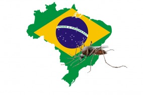 Le Brésil est le plus grand État d’Amérique latine. Depuis 2000, 7 millions de cas de dengue y ont été rapportés. Au cours de cette année, au moins 230 personnes y ont succombé et durant les cinq dernières années l’infection a fait plus de 800 morts.