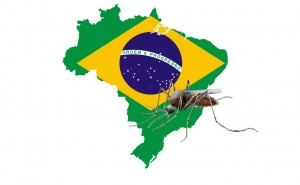 Le Brésil est le plus grand État d’Amérique latine. Depuis 2000, 7 millions de cas de dengue y ont été rapportés. Au cours de cette année, au moins 230 personnes y ont succombé et durant les cinq dernières années l’infection a fait plus de 800 morts.