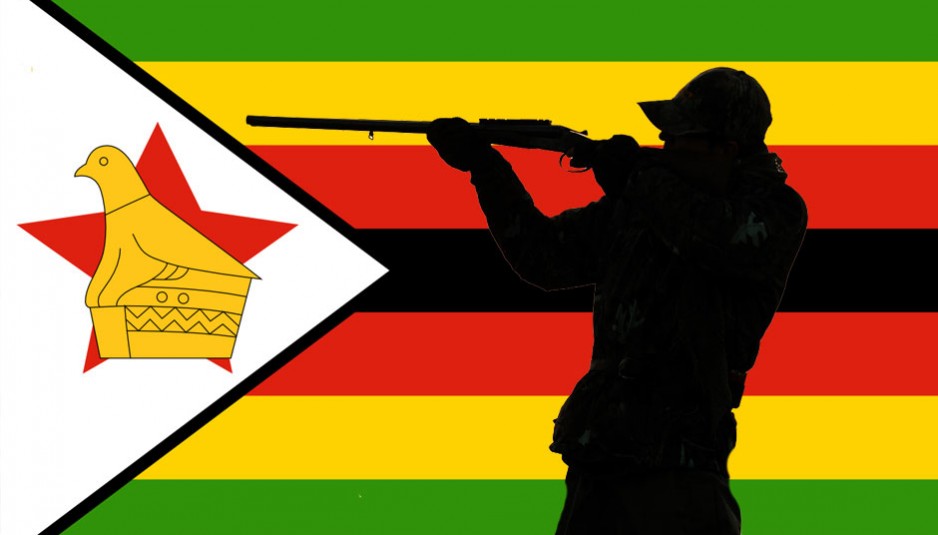 Les deux Zimbabwéens qui accompagnaient le dentiste ont été arrêtés pour avoir chassé illégalement un lion et sont comparu devant la justice le 29 juillet 2015. Le Zimbabwe a réclamé l’extradition du dentiste vers le Zimbabwe pour y être jugé. Une demande qui est restée lettre morte.
