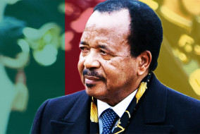 De nombreuses organisations, telle qu'Amnesty International, ont critiqué le régime de Paul Biya, accusé de restreindre les libertés fondamentales des Camerounais et de commettre des violations des droits de l’homme