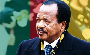 De nombreuses organisations, telle qu'Amnesty International, ont critiqué le régime de Paul Biya, accusé de restreindre les libertés fondamentales des Camerounais et de commettre des violations des droits de l’homme