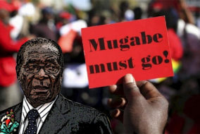 Plusieurs critiques condamnent Robert Mugabe d'être un raciste antiblanc pour avoir lancé des phrases comme celles-ci: « L’homme blanc est ici comme le second citoyen : vous êtes en numéro un. Il est numéro deux ou trois. C’est ce qui doit être enseigné à nos enfants. » et « Notre parti doit continuer de faire entrer la peur dans le cœur de l’homme blanc, notre véritable ennemi. »